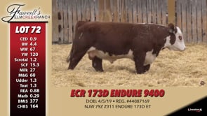 Lot #72 - ECR 173D ENDURE 9400