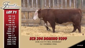 Lot #71 - ECR 394 DOMINO 9399