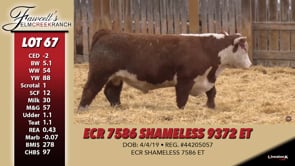 Lot #67 - ECR 7586 SHAMELESS 9372 ET