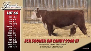 Lot #66 - ECR SOONER ON CANDY 9368 ET