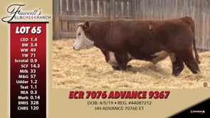 Lot #65 - ECR 7076 ADVANCE 9367