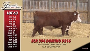 Lot #63 - ECR 394 DOMINO 9316