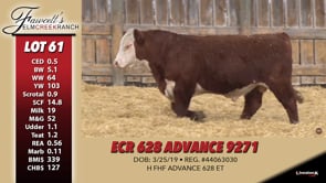 Lot #61 - ECR 628 ADVANCE 9271
