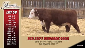 Lot #59 - ECR 3371 REWARDS 9228