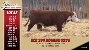 Lot #58 - ECR 394 DOMINO 9216