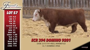 Lot #57 - ECR 394 DOMINO 9201