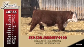 Lot #55 - ECR 53D JOURNEY 9198