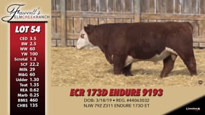 Lot #54 - ECR 173D ENDURE 9193