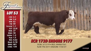 Lot #53 - ECR 173D ENDURE 9177