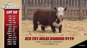 Lot #50 - ECR 721 MILES DOMINO 9119