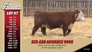 Lot #47 - ECR 628 ADVANCE 9095