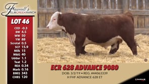 Lot #46 - ECR 628 ADVANCE 9080