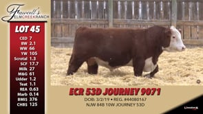 Lot #45 - ECR 53D JOURNEY 9071