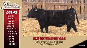 Lot #43 - ECR EXTENSION 023