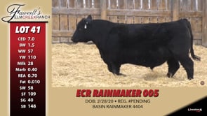 Lot #41 - ECR RAINMAKER 005