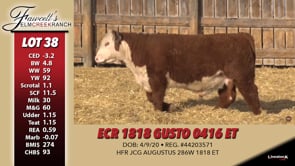 Lot #38 - ECR 1818 GUSTO 0416 ET