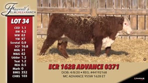 Lot #34 - ECR 1628 ADVANCE 0371