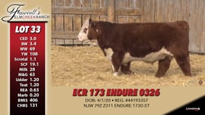 Lot #33 - ECR 173 ENDURE 0326
