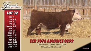Lot #32 - ECR 7076 ADVANCE 0299
