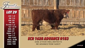 Lot #29 - ECR 1628 ADVANCE 0183