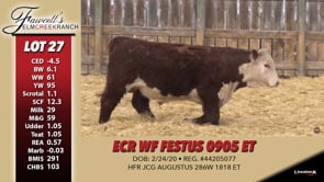 Lot #27 - ECR WF FESTUS 0905 ET