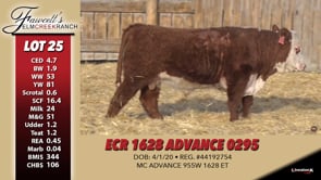 Lot #25 - ECR 1628 ADVANCE 0295