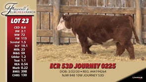 Lot #23 - ECR 53D JOURNEY 0225