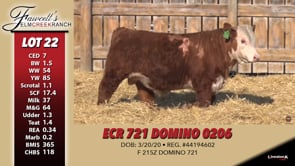 Lot #22 - ECR 721 DOMINO 0206
