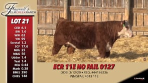 Lot #21 - ECR 11E NO FAIL 0127