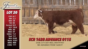 Lot #20 - ECR 1628 ADVANCE 0115 **OUT OF SALE**