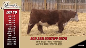 Lot #19 - ECR 238 FORTIFY 0078