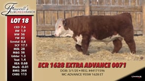 Lot #18 - ECR 1628 EXTRA ADVANCE 0071