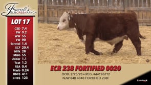 Lot #17 - ECR 238 FORTIFIED 0020