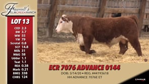 Lot #13 - ECR 7076 ADVANCE 0144