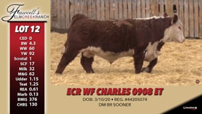 Lot #12 - ECR WF CHARLES 0908 ET