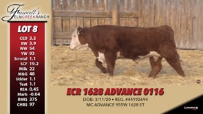 Lot #8 - ECR 1628 ADVANCE 0116