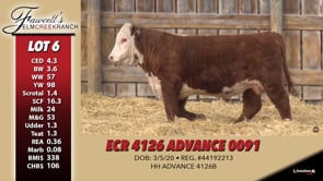 Lot #6 - ECR 4126 ADVANCE 0091
