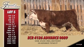 Lot #5 - ECR 4126 ADVANCE 0089