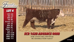 Lot #4 - ECR 1628 ADVANCE 0088