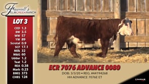 Lot #3 - ECR 7076 ADVANCE 0080