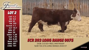 Lot #2 - ECR 203 LOG RANGE 0075