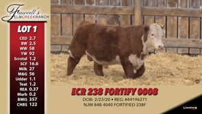 Lot #1 - ECR 238 FORTIFY 0008