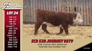 Lot #24 - ECR 53D JOURNEY 0279 **OUT OF SALE**