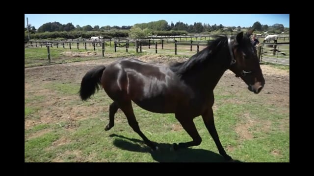 Lot 29