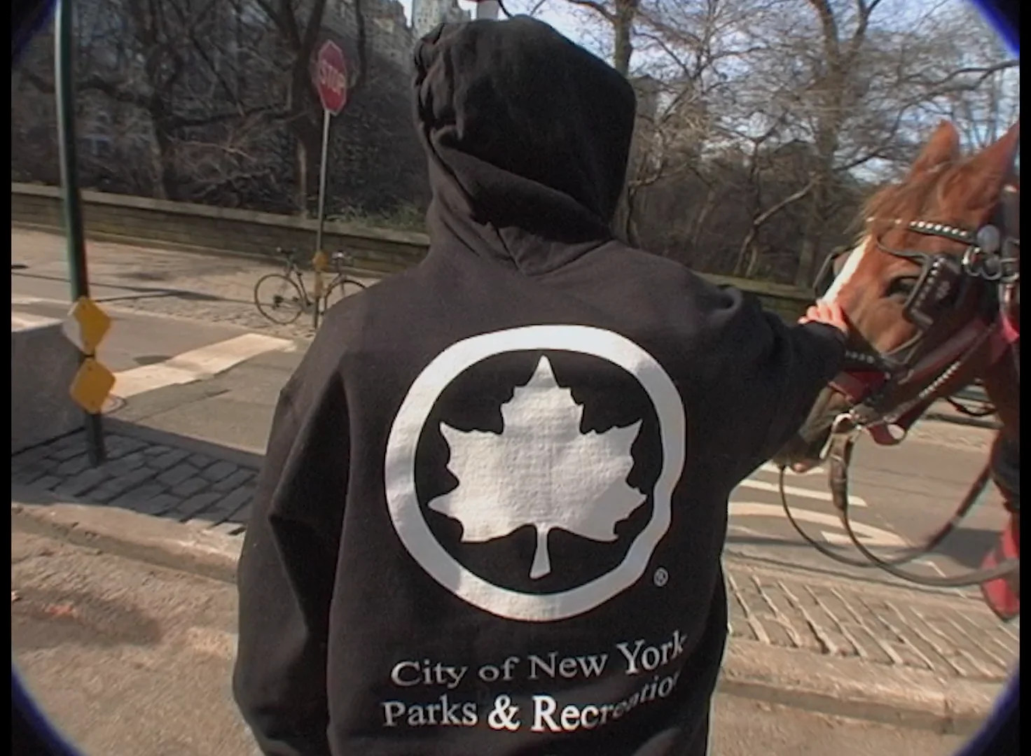 NYC Parks Logo Champion® Hoodie on Vimeo