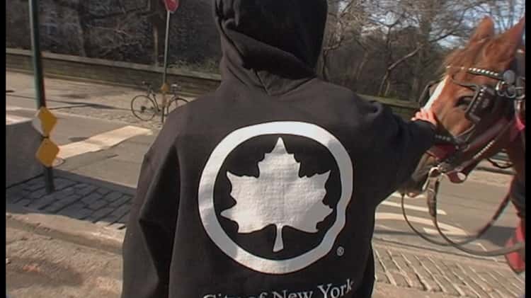 Nyc cheap champion hoodie