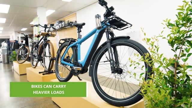 ebike wrap