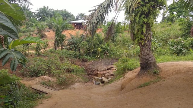 Arbres, collines et habitations - Vidéo ePOP