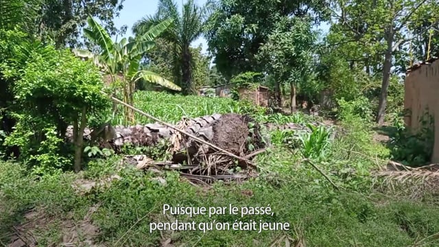 L’impact de la déforestation - Vidéo ePOP