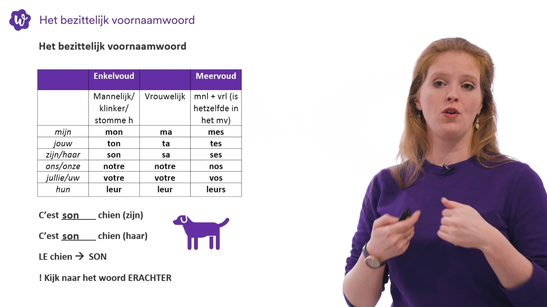 Bezittelijk Voornaamwoord (3) Oefenen | StudyGo